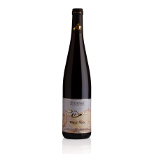 PINOT NOIR D'ALSACE - 2023 - DOMAINE PAUL DOCK