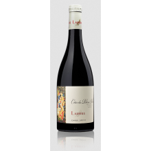 CÔTES DU RHÔNE VILLAGES  - 2020 -  DOMAINE GABRIEL MEFFRE