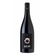 BLACK BUD - IGP MÉDITÉRRANÉE ROUGE - 2025 - VIGNERONS DU MONT VENTOUX